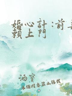 婚心计 :前妻赖上门