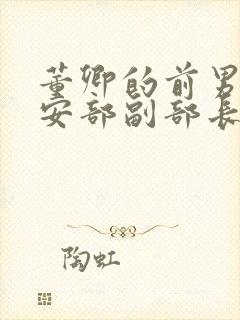 董卿的前男友公安部副部长