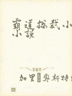 霸道总裁小娇妻小说