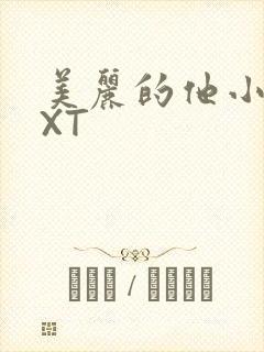 美丽的他小说TXT