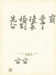 先婚后爱霸道老公别来了