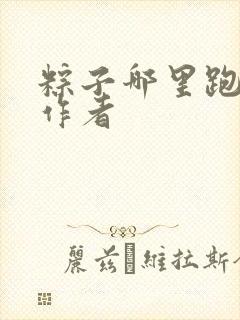 粽子哪里跑小说作者