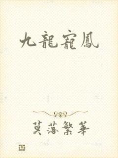 九龙宠凤