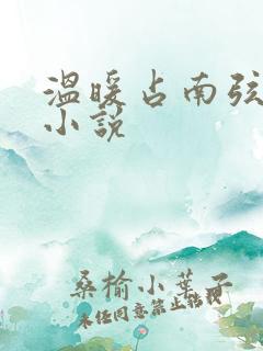 温暖占南弦尹衿小说