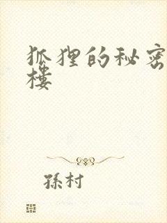 狐狸的秘密19楼