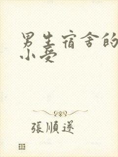 男生宿舍的公共小受