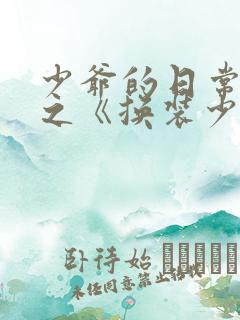 少爷的日常生活之《换装少女》