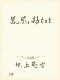 凤凰劫txt