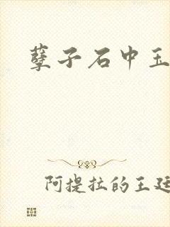 孽子石中玉