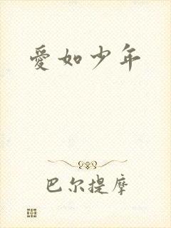 爱如少年