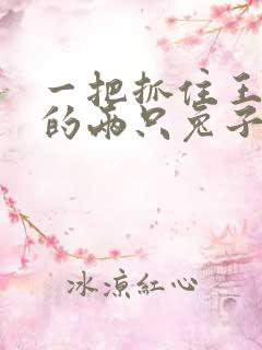 一把抓住王昭君的两只兔子