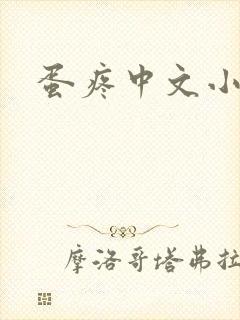 蛋疼中文小说网