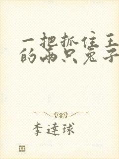 一把抓住王昭君的两只兔子