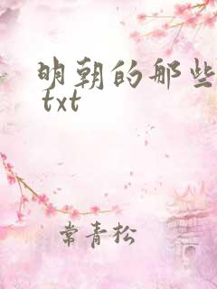 明朝的那些事儿 txt