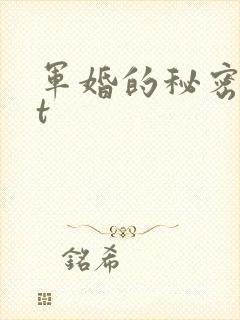 军婚的秘密txt