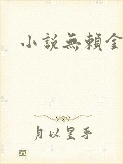 小说无赖金仙