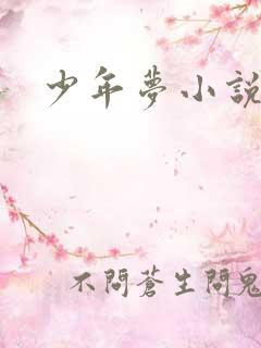 少年梦小说