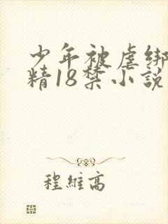 少年被虐绑着榨精18禁小说