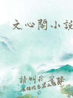 文心阁小说