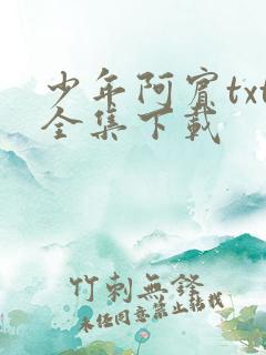 少年阿宾txt全集下载