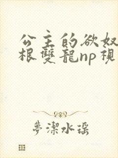 公主的欲奴h四根双龙np视频