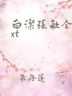 白洁张敏全集txt