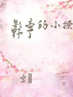 影帝的小撩精太野了