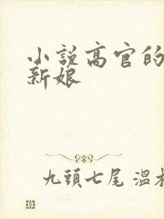 小说高官的暗夜新娘