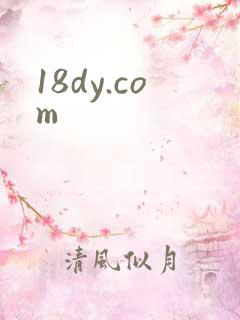 18dy.com