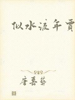 似水流年贾二虎