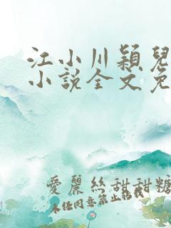 江小川颖儿穿越小说全文免费阅读