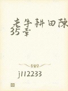 老牛耕田陈雪435章