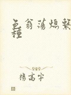 色翁荡熄系列借种