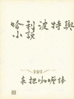 哈利波特与密室小说