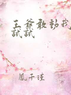 王爷敢动我妈咪试试