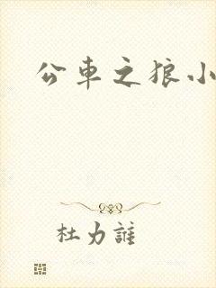 公车之狼小说