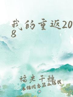 我的重返2008