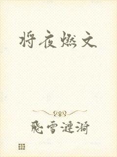 将夜燃文