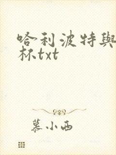 哈利波特与火焰杯txt