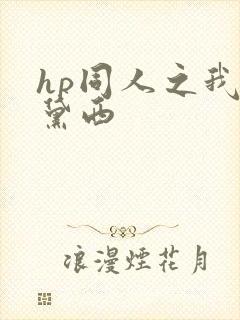 hp同人之我叫黛西
