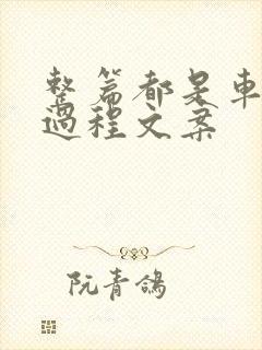 整篇都是车的肉过程文案