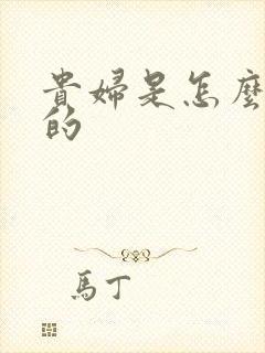 贵妇是怎么炼成的