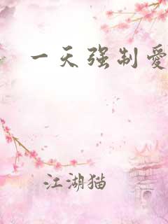 一天强制爱