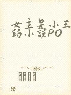 女主是小三很婊的小说PO