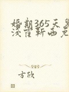 婚期365天慕浅霍靳西免费阅读