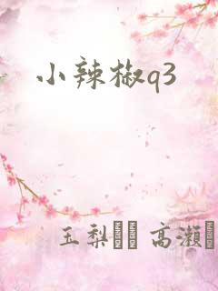 小辣椒q3