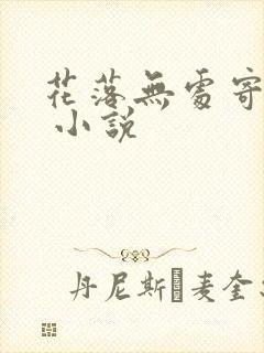 花落无处寄相思 小说