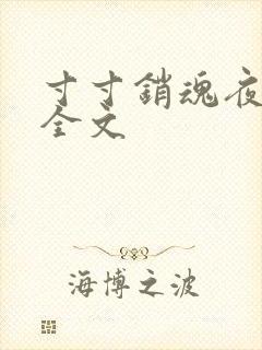 寸寸销魂夜春光全文