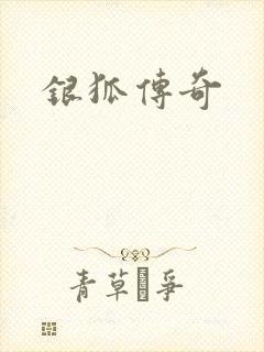 银狐传奇
