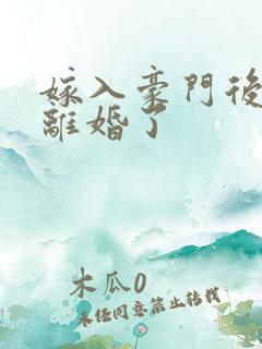 嫁入豪门后我又离婚了